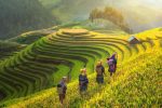 Sa Pa - Hình ảnh 2